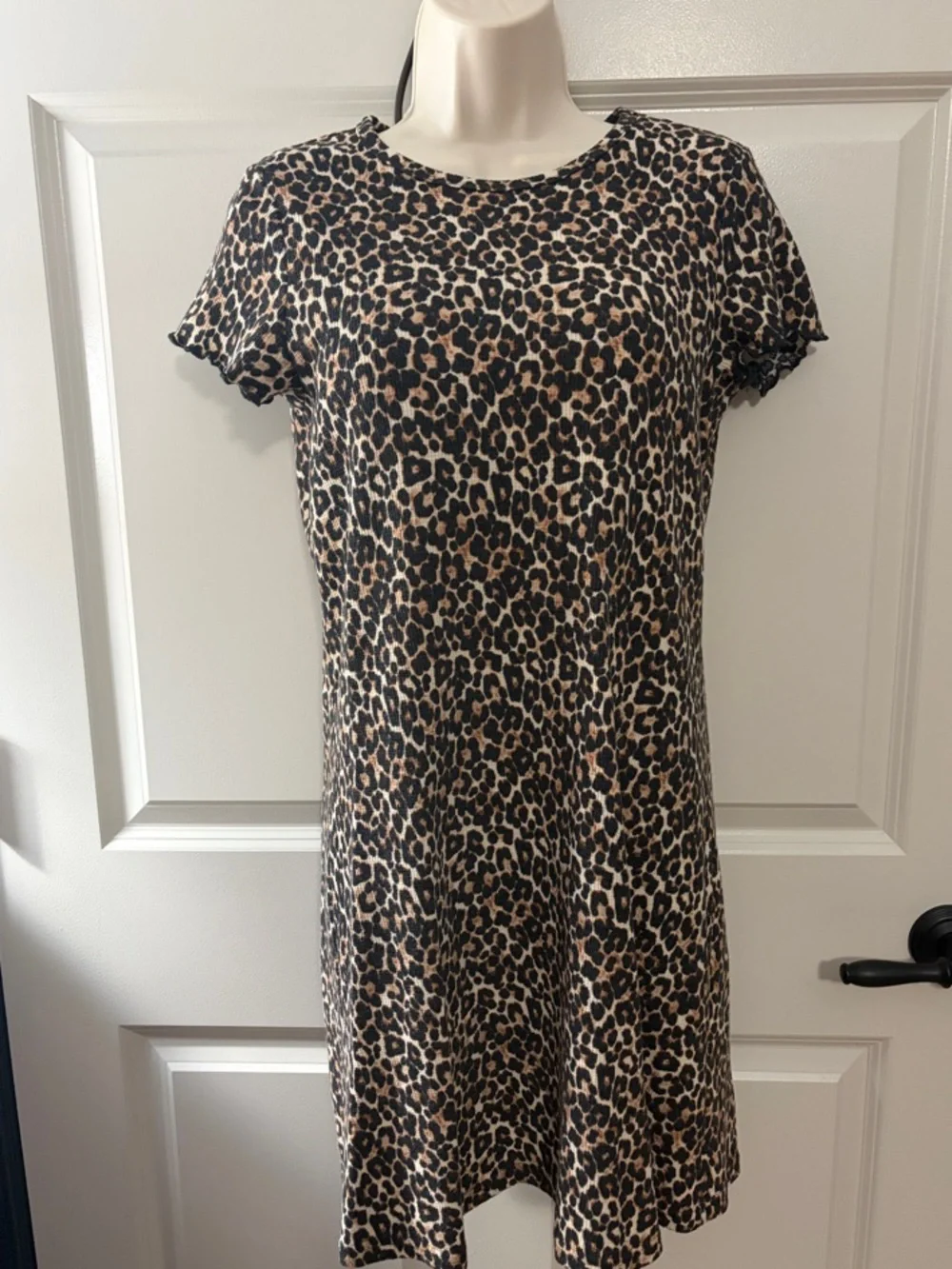 American Eagle Outfitters Leopard Print Mini Dress - Picture 2 of 5